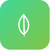 Mongodb